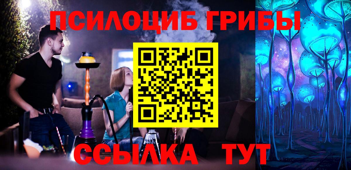 где купить наркоту  Вход с VPN  Хабаровск  Галлюциногенные грибы мухоморы 
